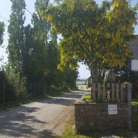 De L'ile Aux Pins